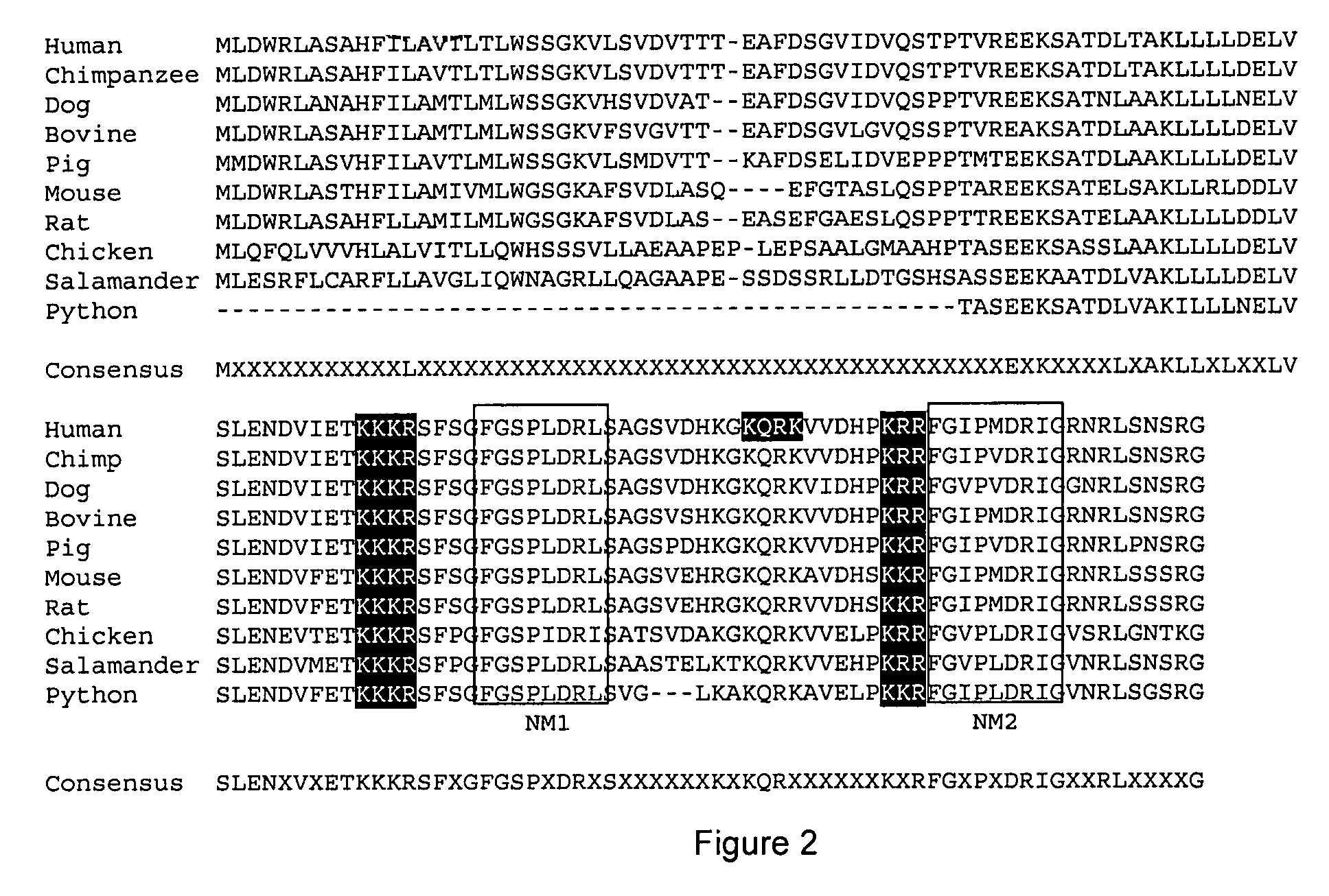 Method of use of specific natriuretic peptide receptor c ligands, transgenic non-human mammals expressing specific natriuretic peptide receptor c antagonists and cells thereof