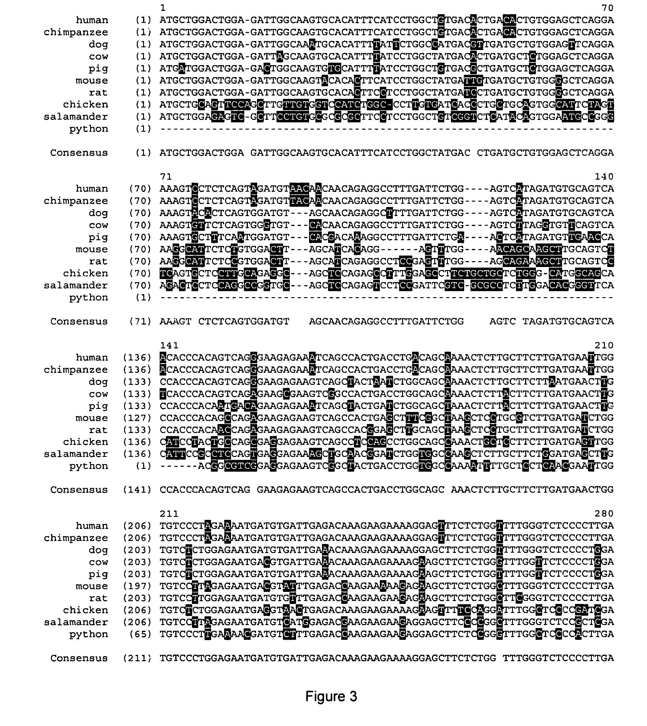 Method of use of specific natriuretic peptide receptor c ligands, transgenic non-human mammals expressing specific natriuretic peptide receptor c antagonists and cells thereof