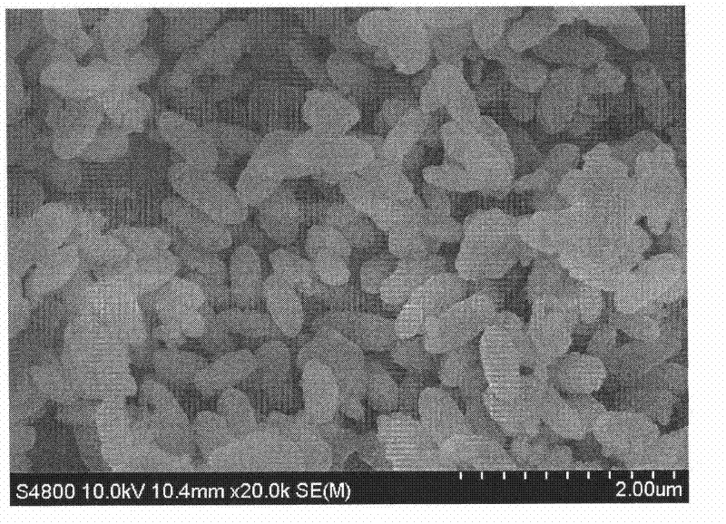 A kind of preparation method and application of rice granular α-ferric oxide