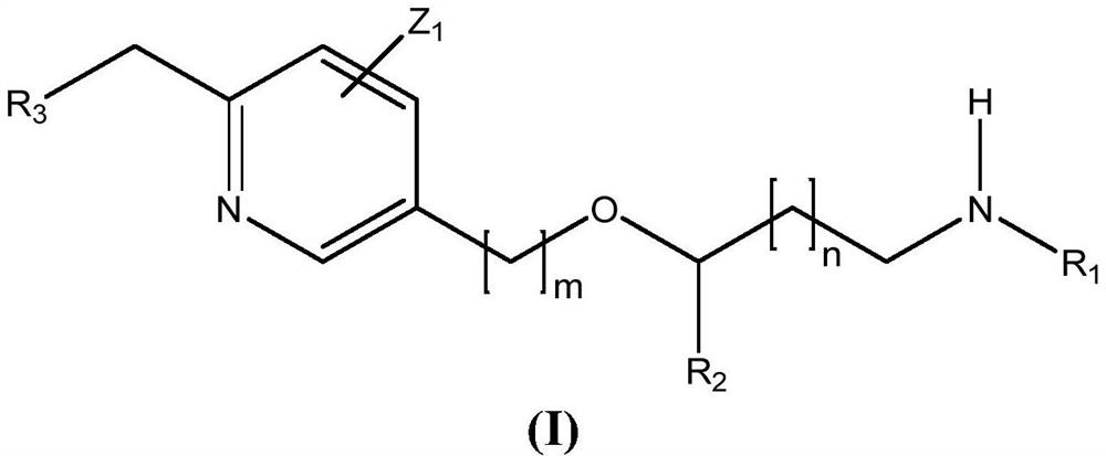 New alcoxyaminopyridine derivatives for treating pain and pain related conditions