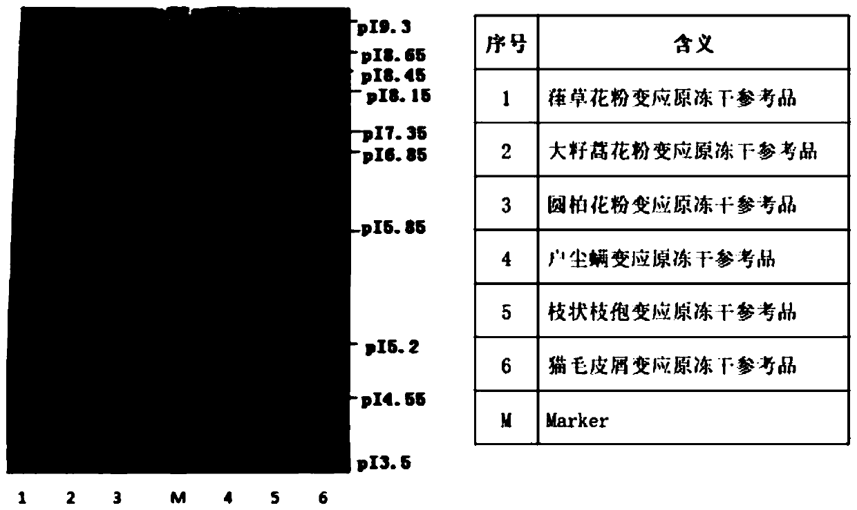 Allergen solvent and preparation method thereof