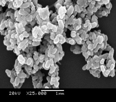 Preparation method for one-step synthesis of high-rate-performance carbon-coated lithium iron phosphate cathode material by in-situ hydrothermal carbonization