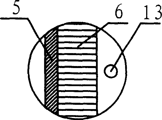 Insertion type ultrasonic locating delivering and irradiating method and insertion type ultrasonic locating injection and irradiation instrument