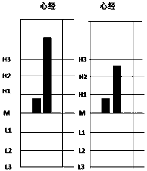 A traditional Chinese medicine holographic meridian diagnosis system