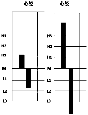 A traditional Chinese medicine holographic meridian diagnosis system