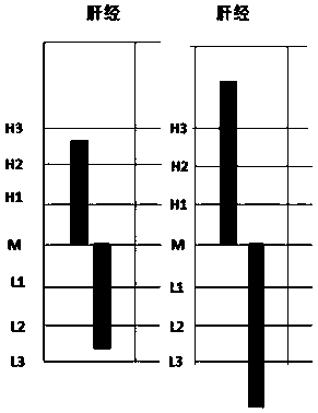 A traditional Chinese medicine holographic meridian diagnosis system