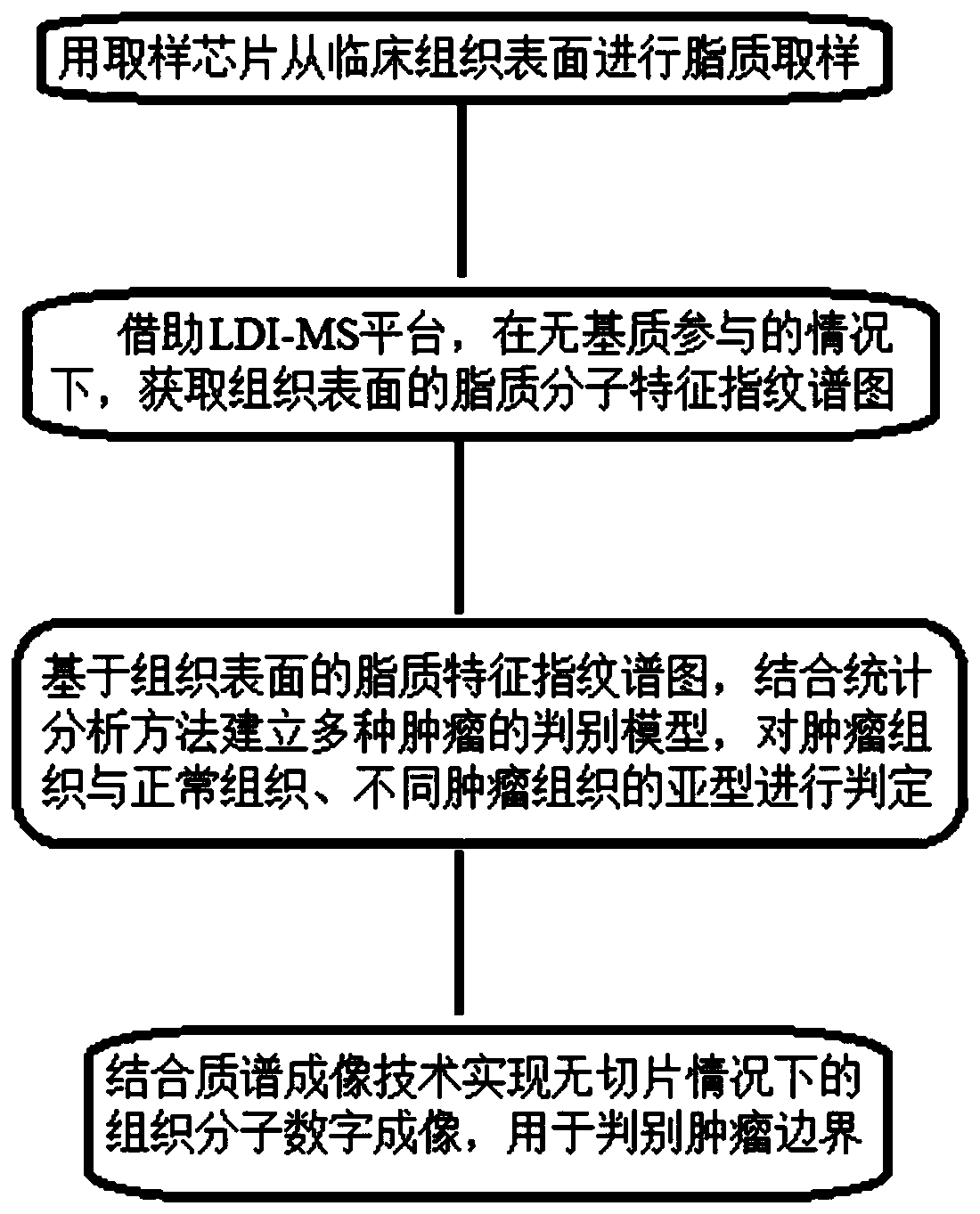 Rapid tumor tissue discrimination method based on tissue surface lipid fingerprint spectrogram