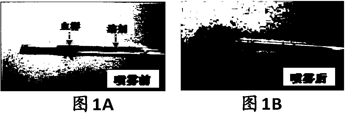 Biological sample spectral analysis method based on solute migration electrospray ionization technique