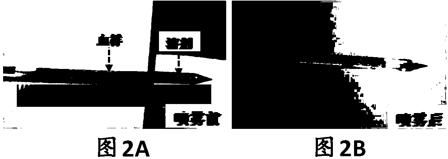 Biological sample spectral analysis method based on solute migration electrospray ionization technique