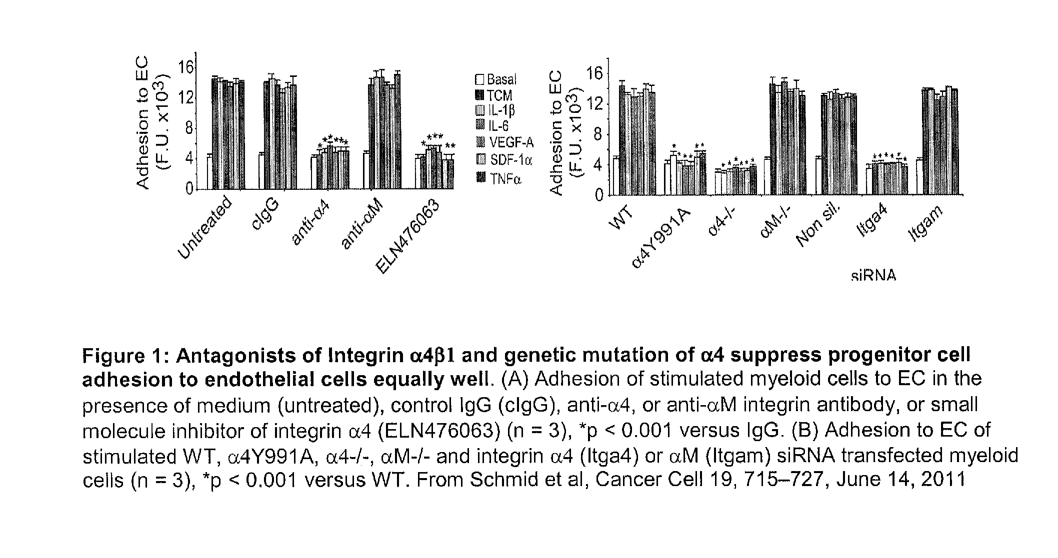 Method for altering hematopoietic progenitor cell adhesion, differentiation, and migration