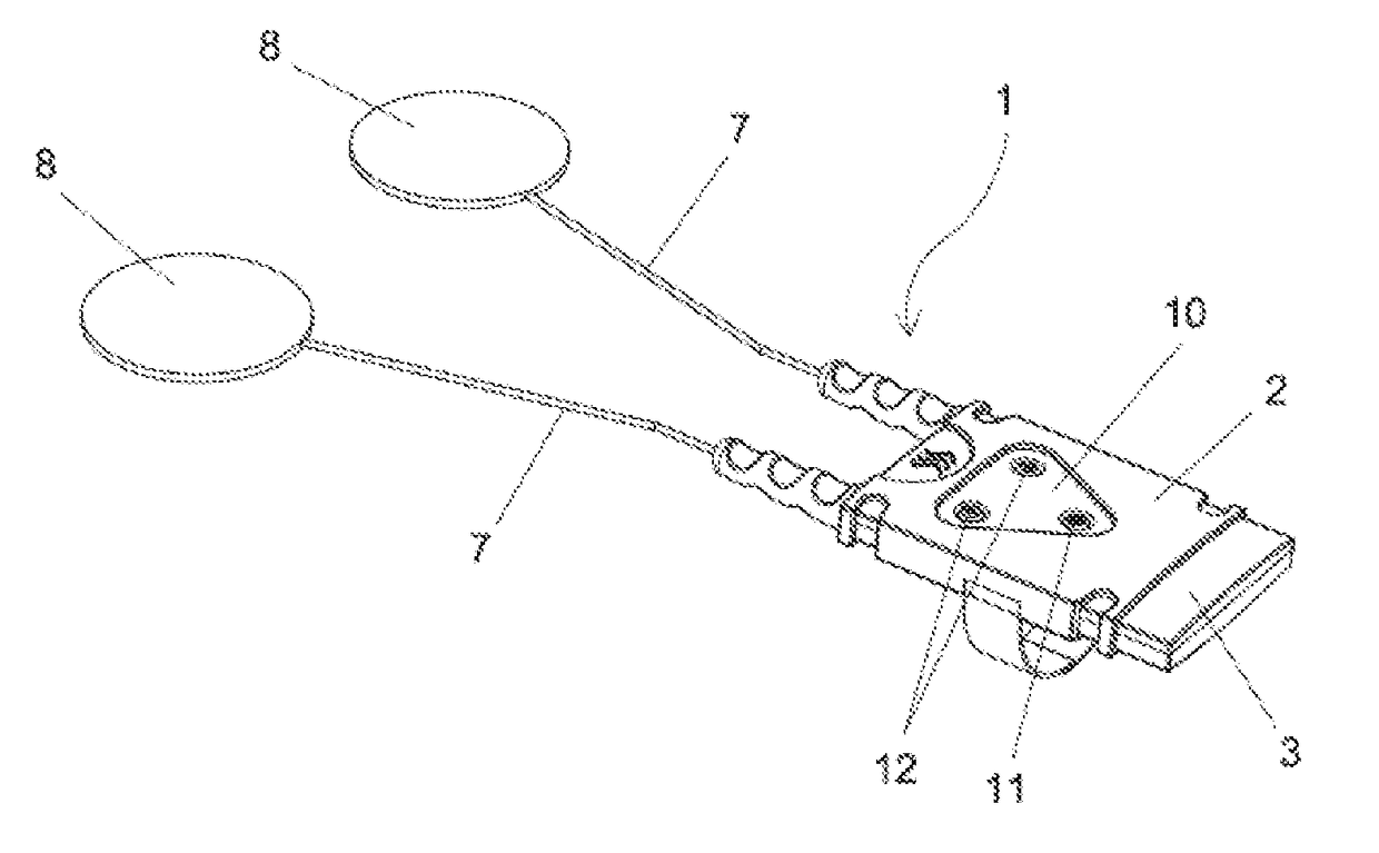 Process for Establishing a Muscular Electrostimulation Protocol, and Respective Portable Muscular Electrostimulation Equipment Using Said Protocol