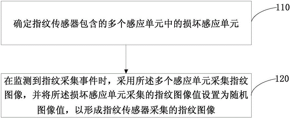 Fingerprint collection method and apparatus