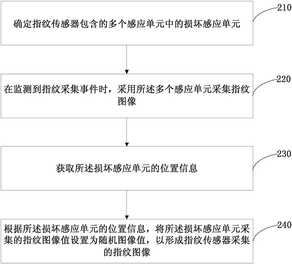 Fingerprint collection method and apparatus