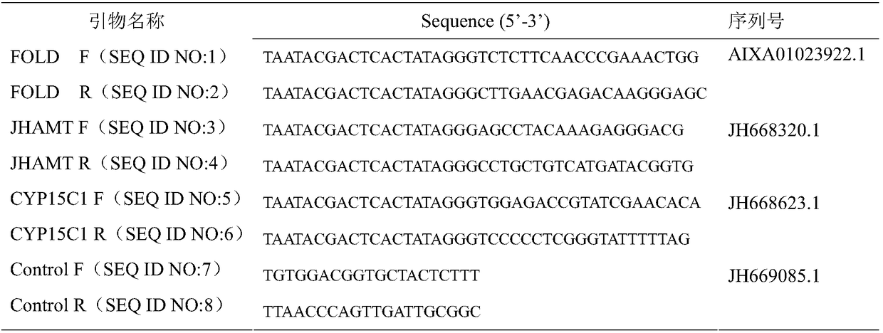 Method for effective prevention and control of lepidoptera pests by RNAi