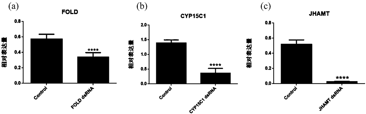 Method for effective prevention and control of lepidoptera pests by RNAi