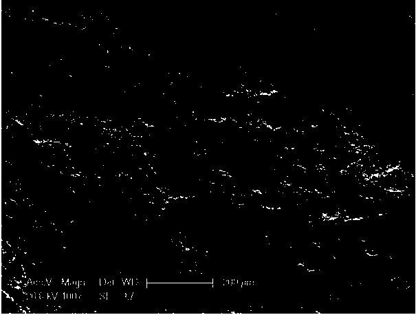 Bamboo charcoal-based microelectrolysis porous ceramsite filler and preparing method thereof