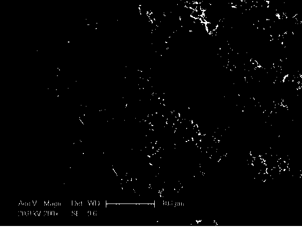 Bamboo charcoal-based microelectrolysis porous ceramsite filler and preparing method thereof