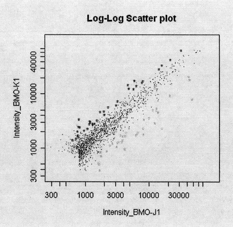 Method for detecting uranium pollution by taking arabidopsis oligonucleotide fragment as probe