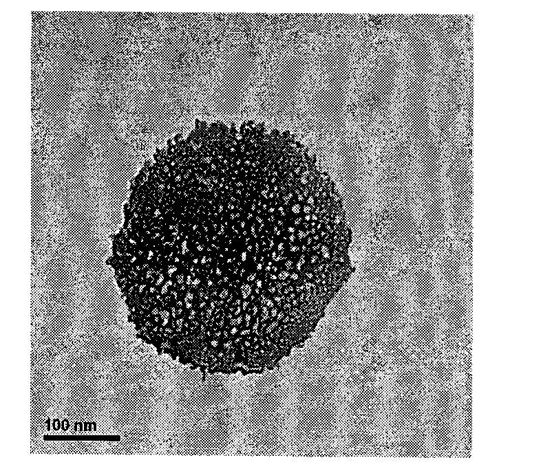 Abscisic acid-embedded chitosan nanoparticles and preparation method thereof