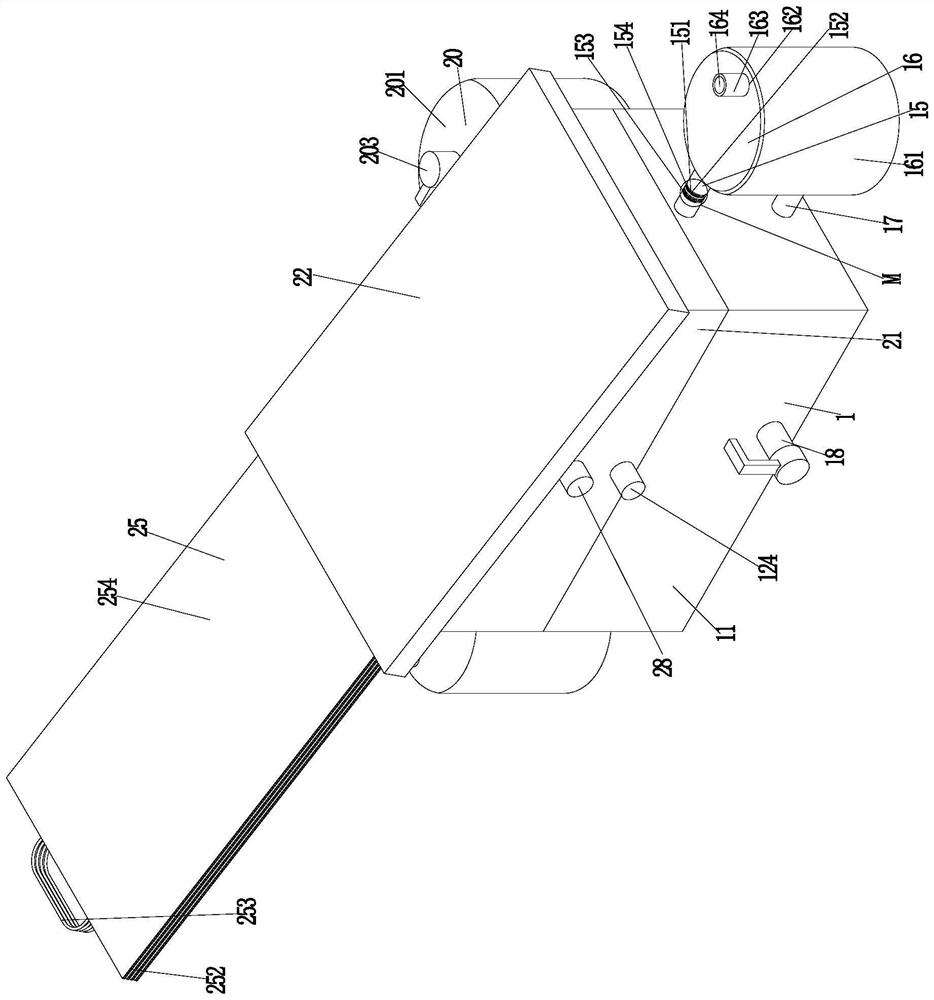 Diatom biological culture system and culture method