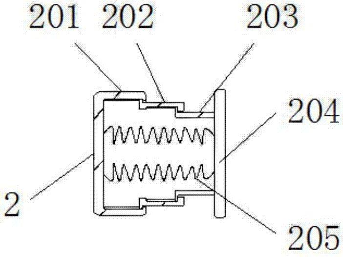 Intelligent home door