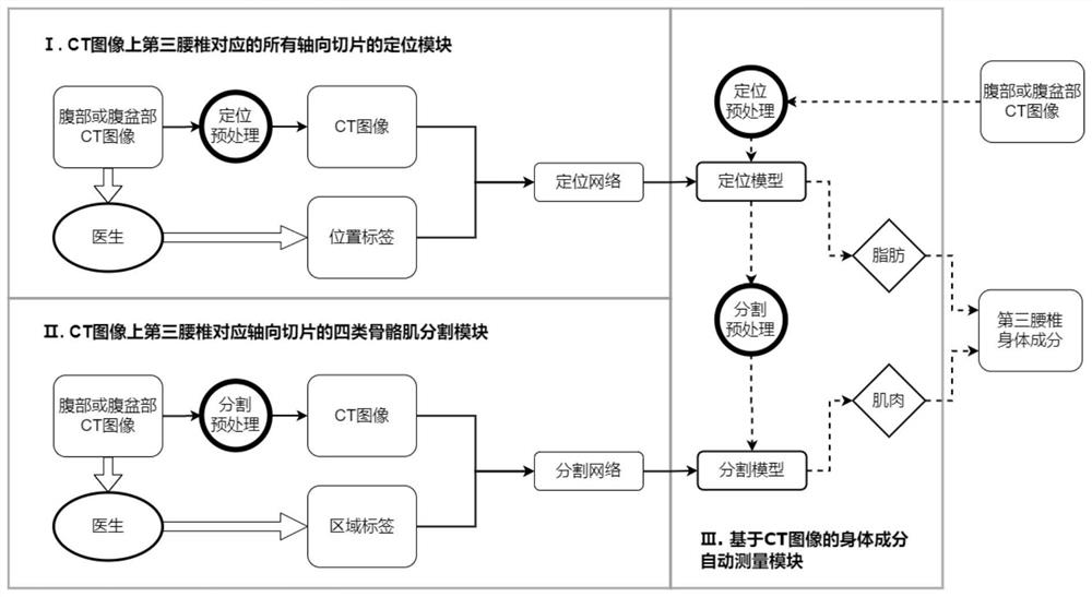 Body composition automatic measurement system based on abdomen CT image and deep learning