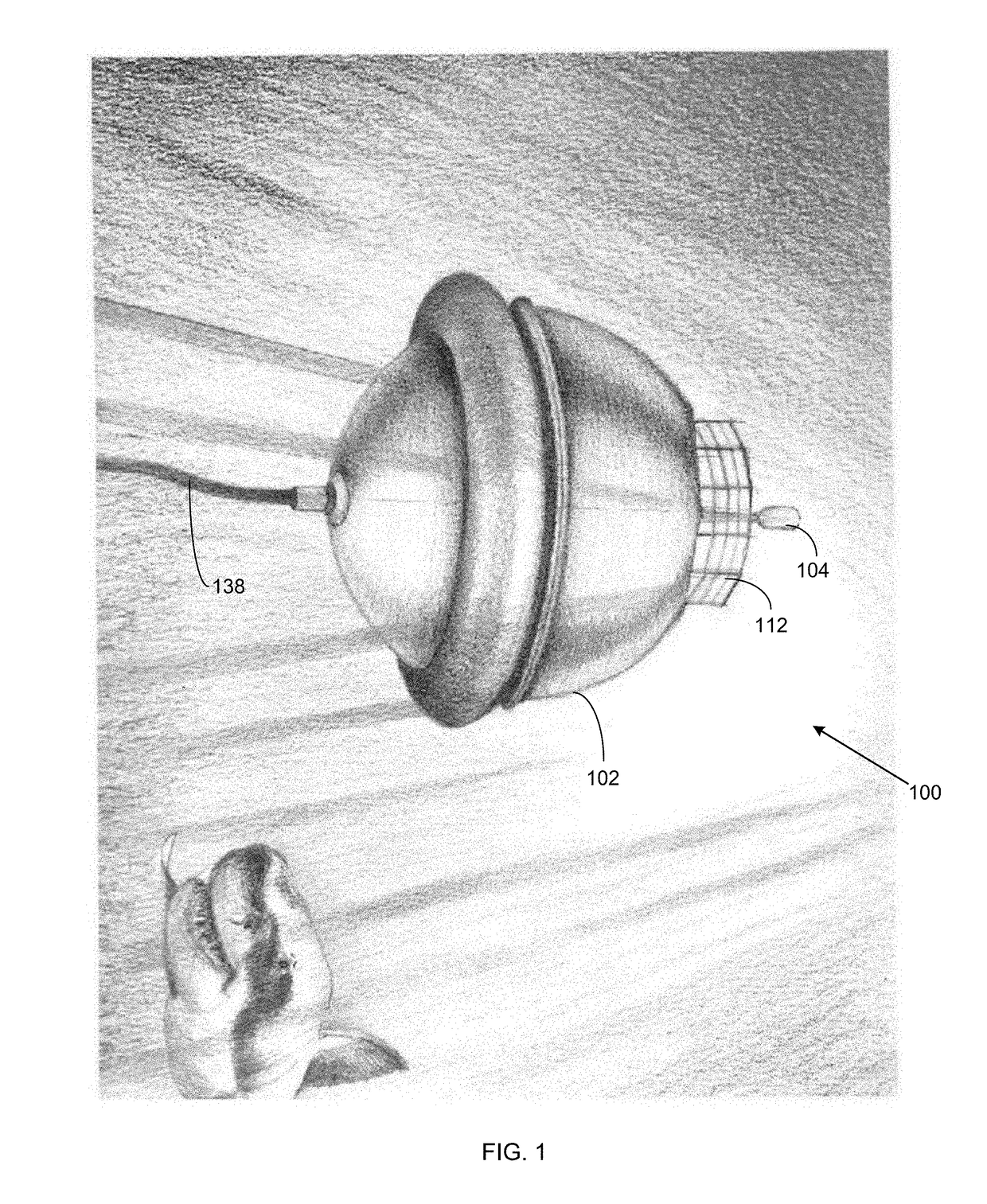 Assembly for harnessing a pendulum motion from fluid wave energy for conversion to power