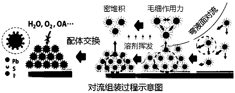 Convection assembly deposition method-based lead sulfide colloid quantum-dot solar cell and fabrication method thereof