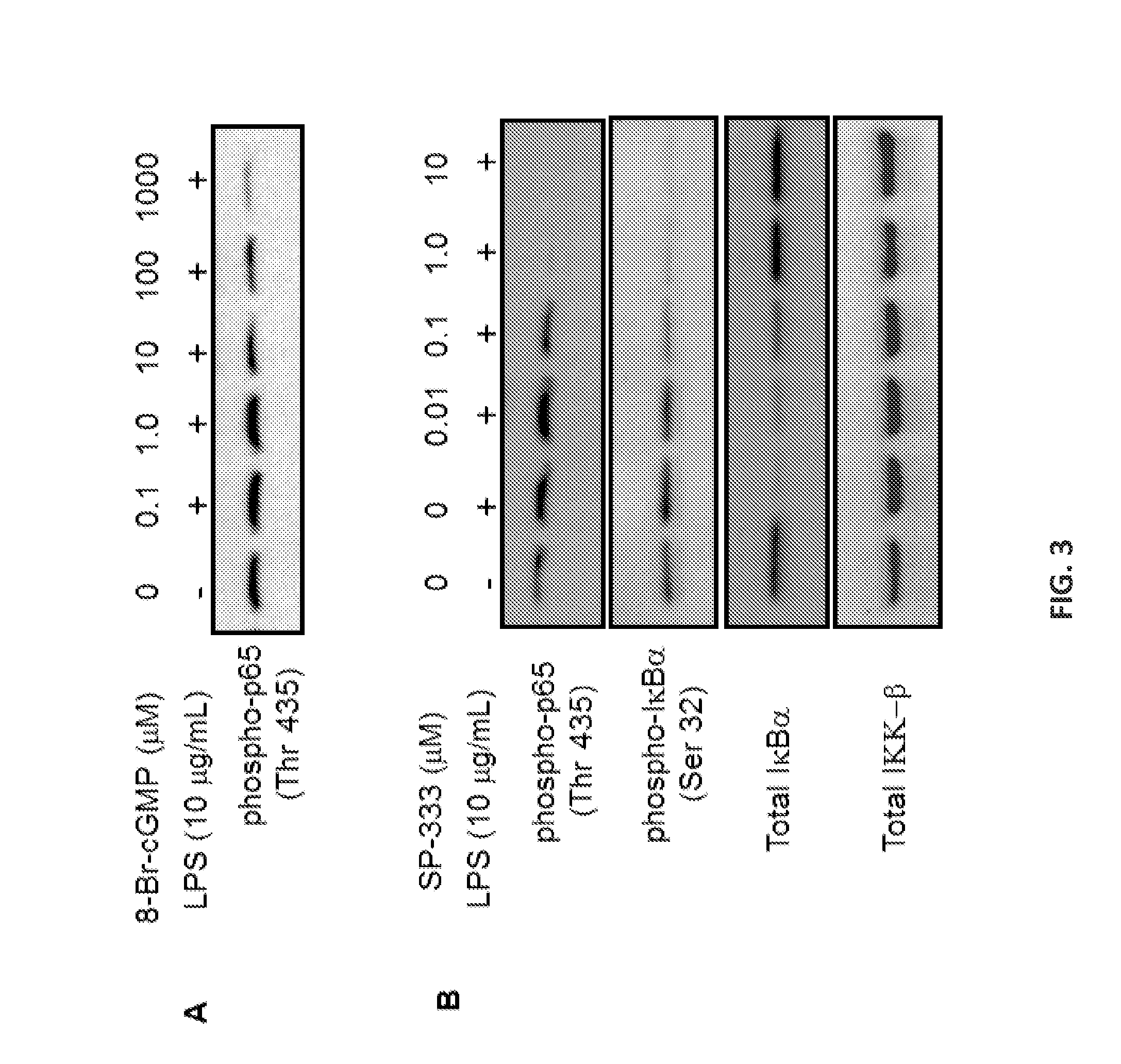 Agonists of guanylate cyclase useful for downregulation of pro-inflammatory cytokines