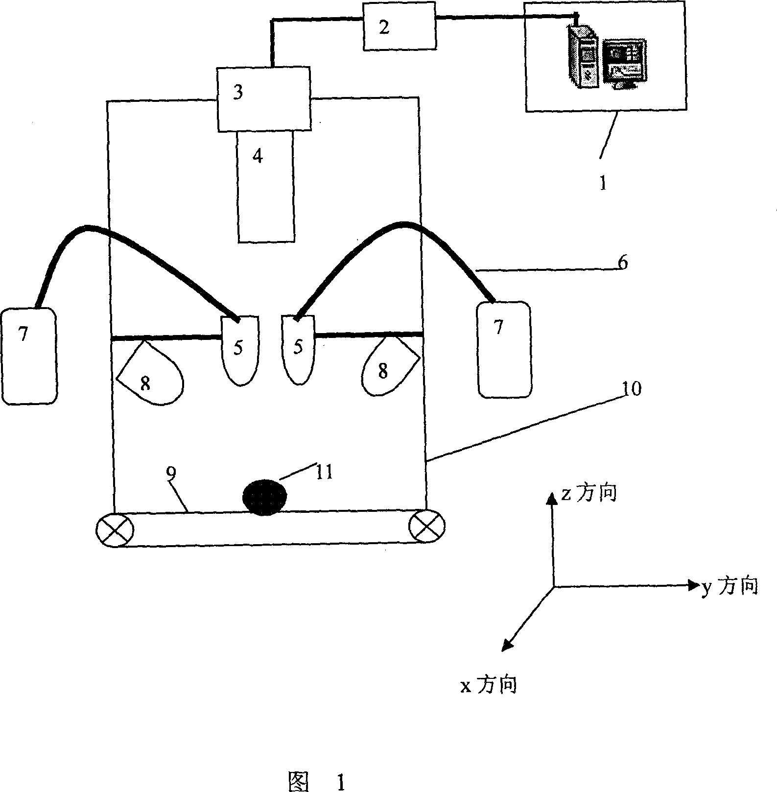 Non-destructive detection method and device for agricultural and animal products based on hyperspectral image technology