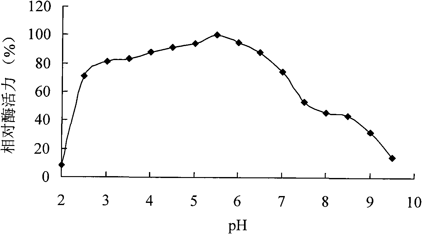 Neutral phytase CP53 from rumen and gene and application thereof