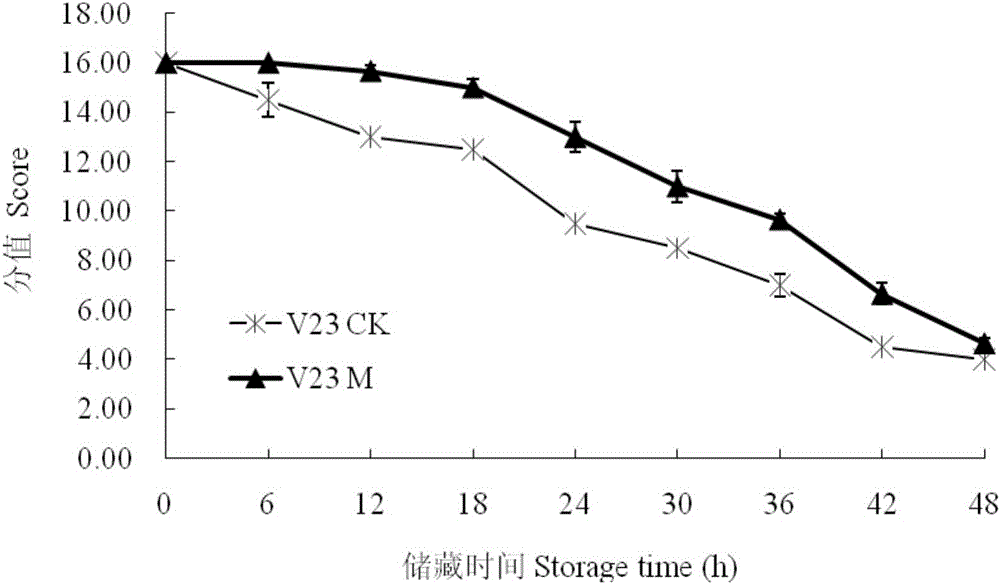 Fresh-keeping method of straw mushrooms