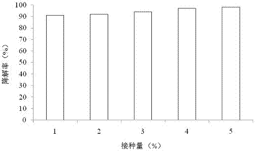 A norfloxacin-degrading Acinetobacter calcoacetate nor‑36 and its application