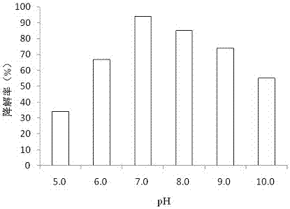 A norfloxacin-degrading Acinetobacter calcoacetate nor‑36 and its application