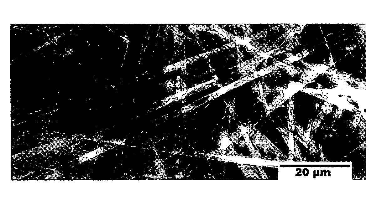 Method for preparation of poly(o-phenylenediamine) Nano-belt