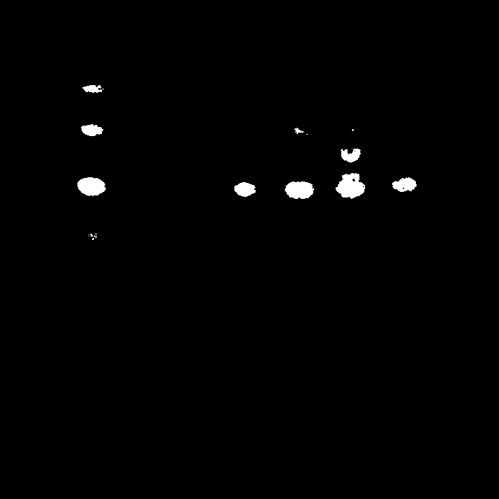 Detection method of yupingfeng oral liquid