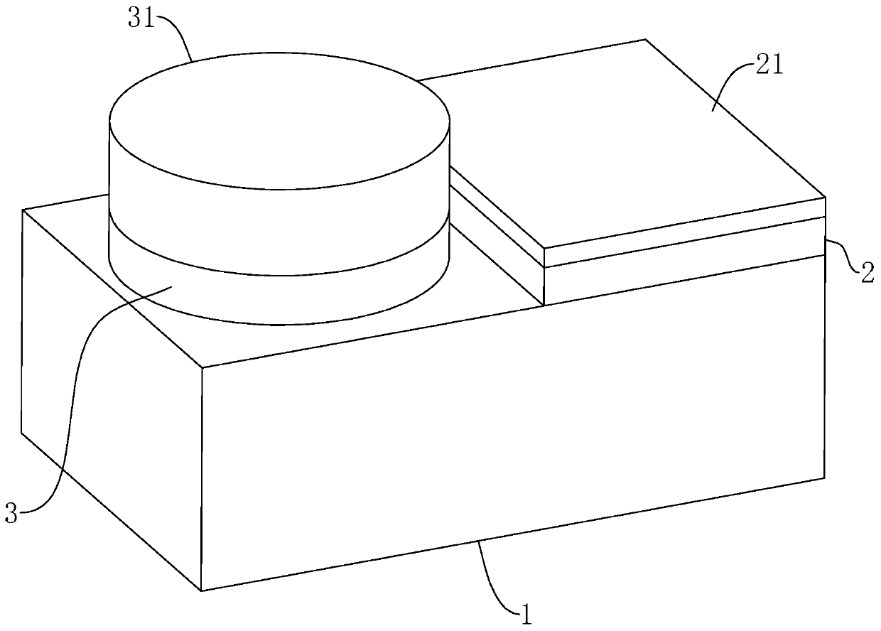 Auxiliary device for making ant specimens