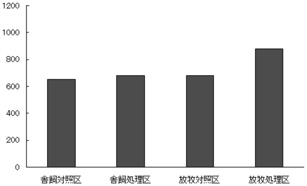 A new type of fermenting lactobacillus and its application in the field of feed and sewage treatment