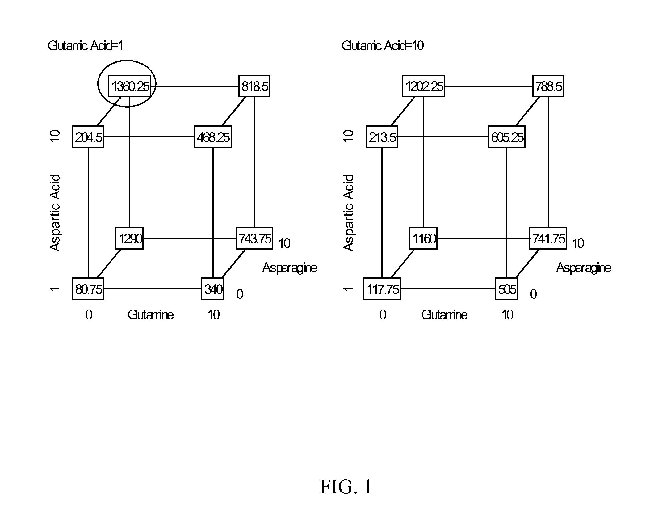 Production of proteins in glutamine-free cell culture media