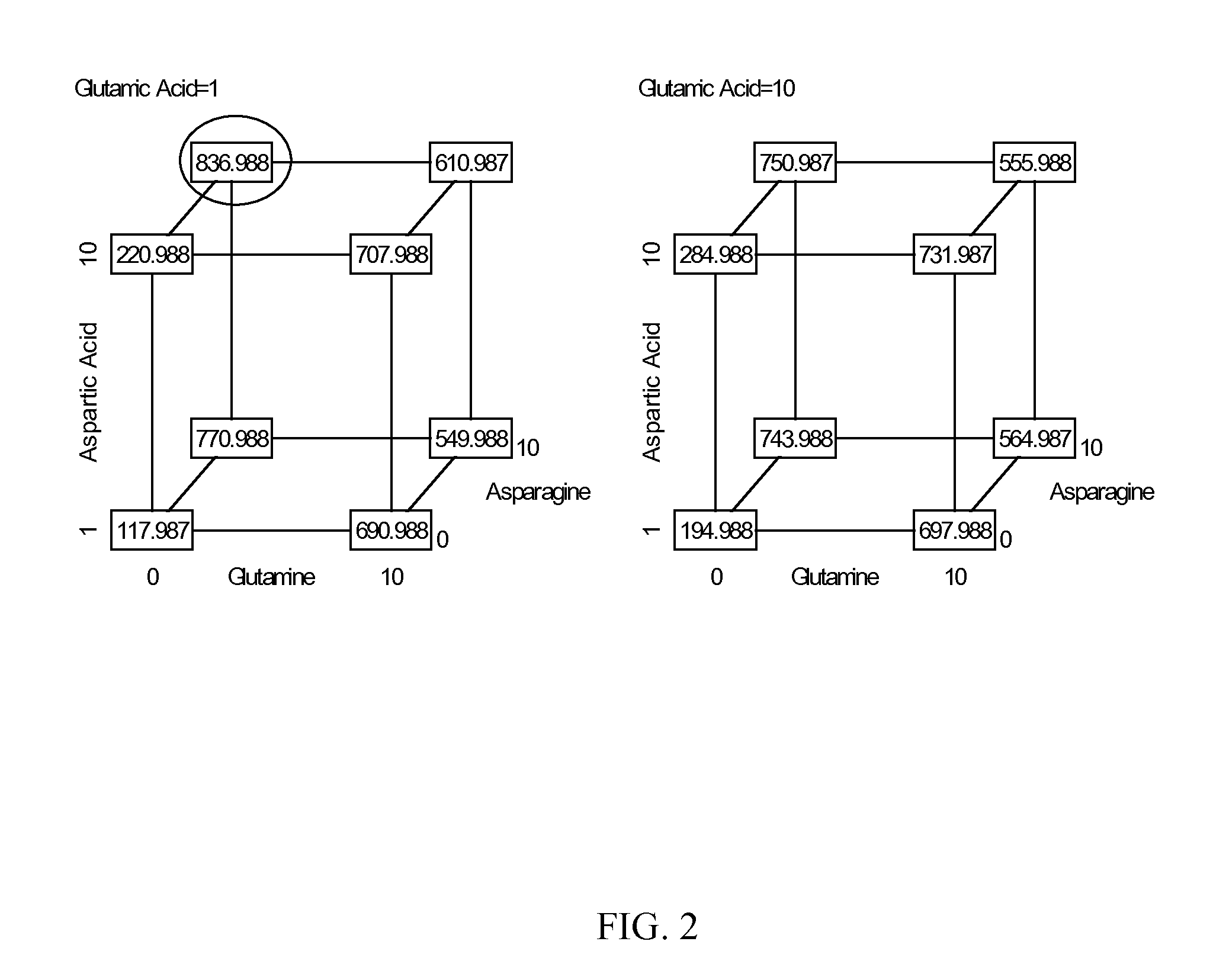 Production of proteins in glutamine-free cell culture media