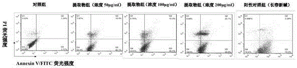 Pterocephalus hookeri heck n-butyl alcohol extract, as well as preparation method and application thereof