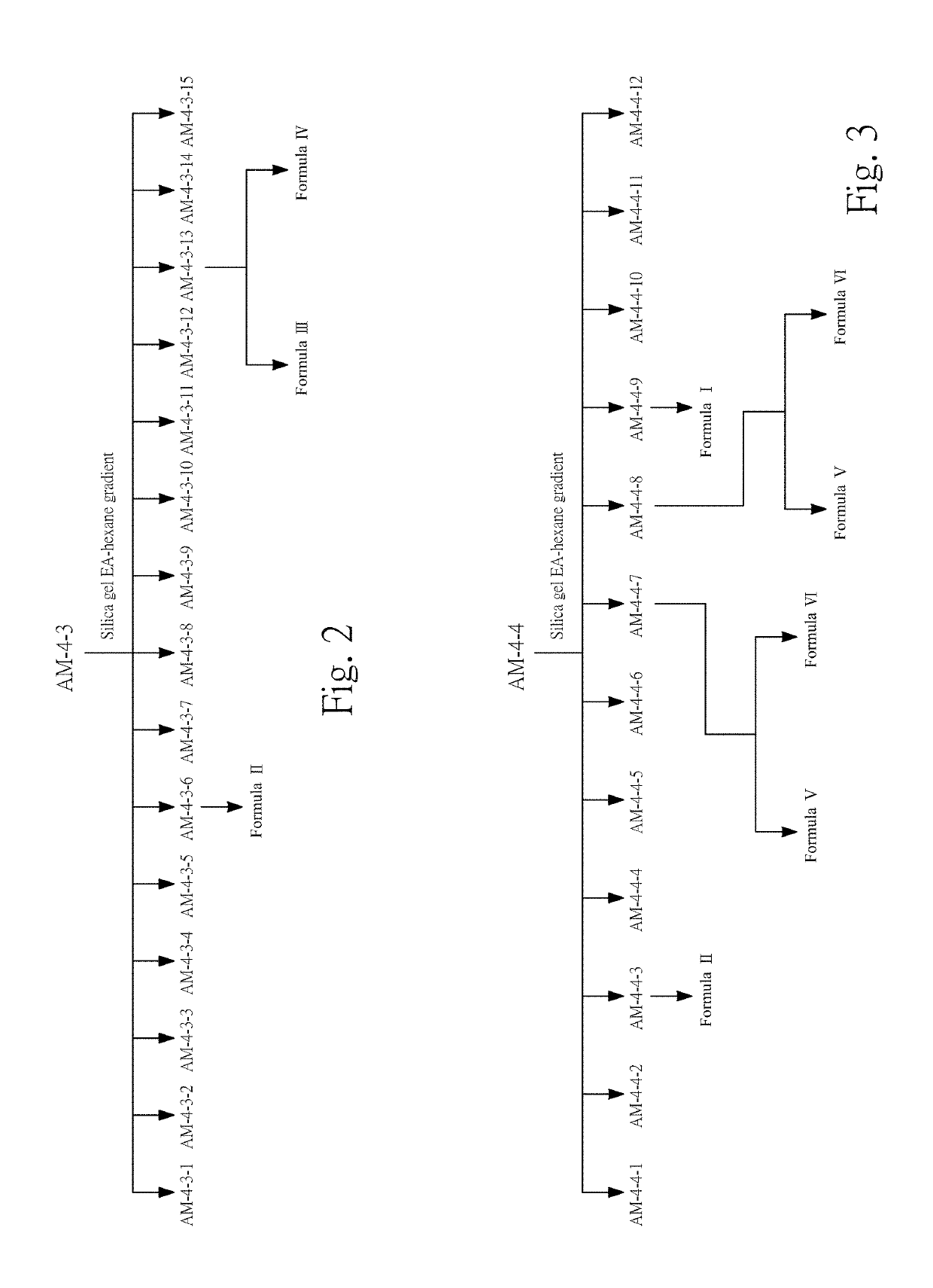 Compositions and methods of antiallergic phorbol ester and phorbol derivatives as the main active ingredients from the seeds of aquilaria malaccensis