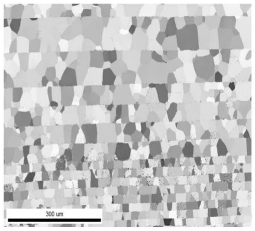 Method for rapidly preparing gradient titanium plate based on vacuum hot pressing process