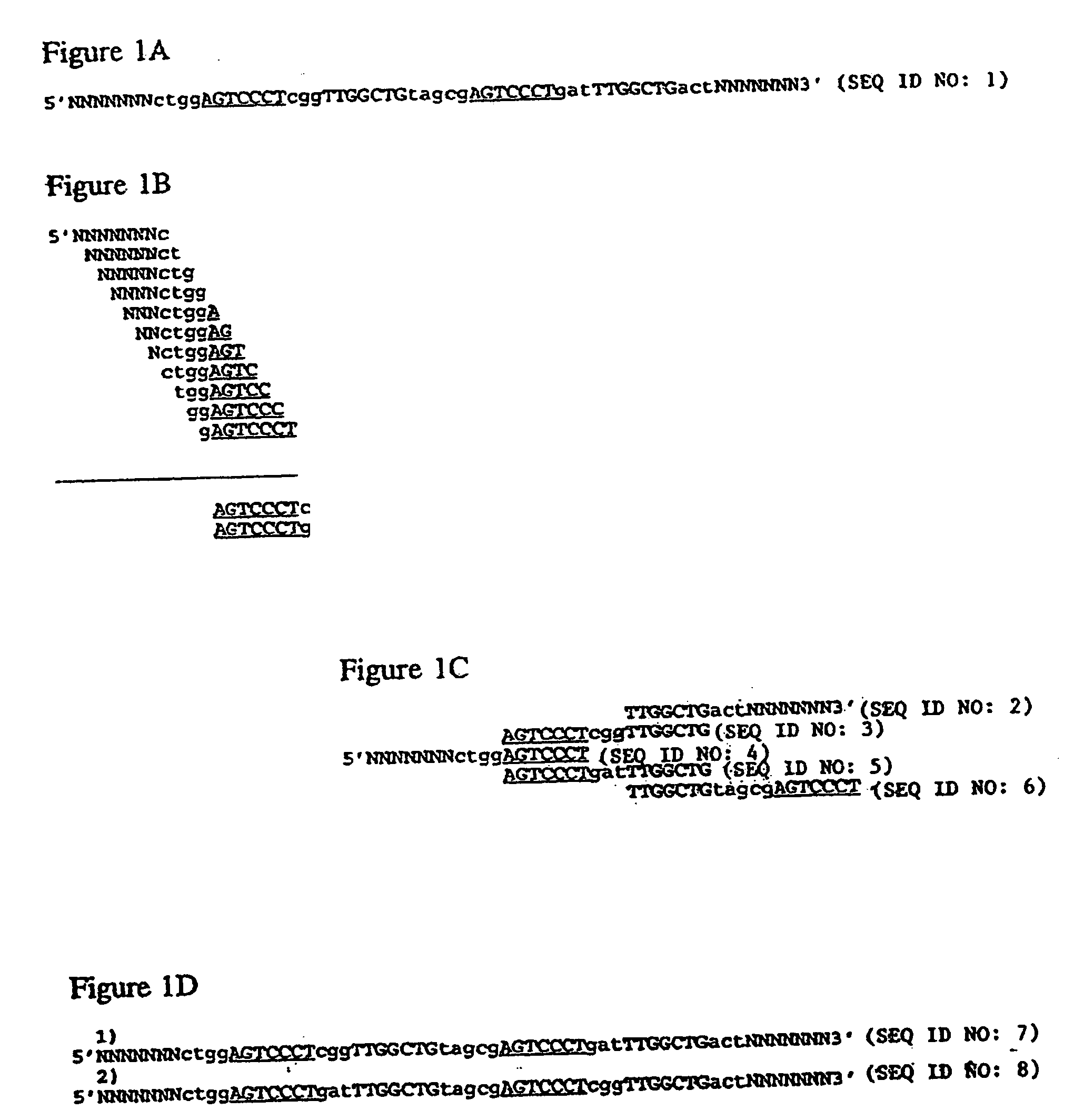 Method of sequencing by hybridization of oligonucleotide probes