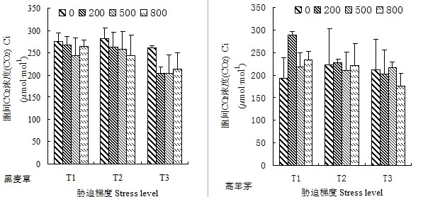 Method for increasing water use efficiency of drought mixed matrix lawn plants by adopting rare-earth cerium