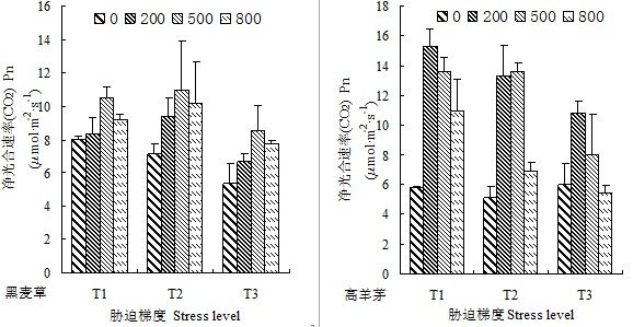 Method for increasing water use efficiency of drought mixed matrix lawn plants by adopting rare-earth cerium