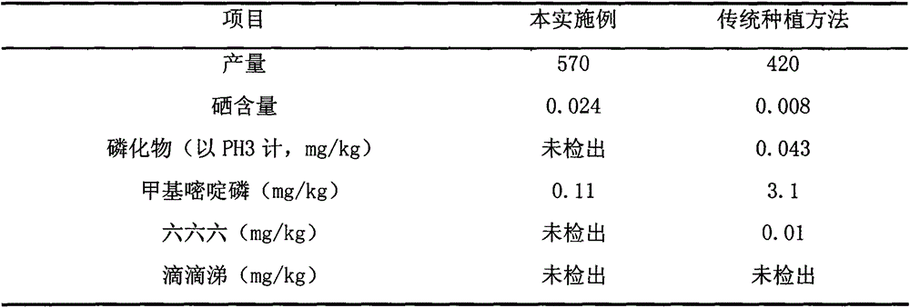 A high-yield cultivation method of organic selenium-enriched rice