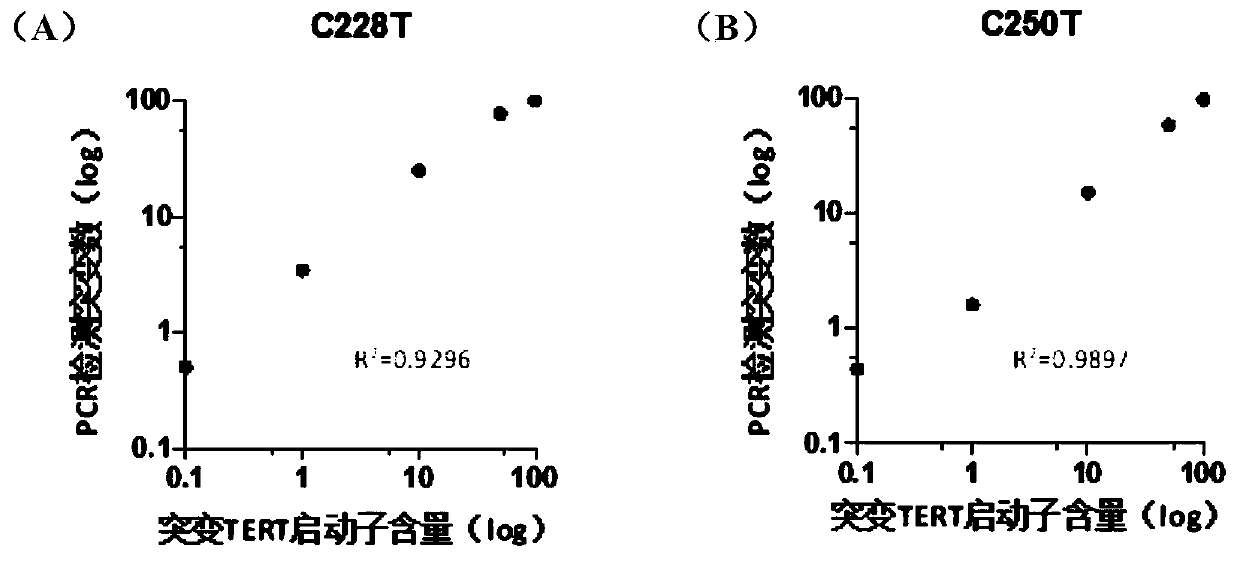 TERT mutation detection kit and application thereof in noninvasive tumor diagnosis