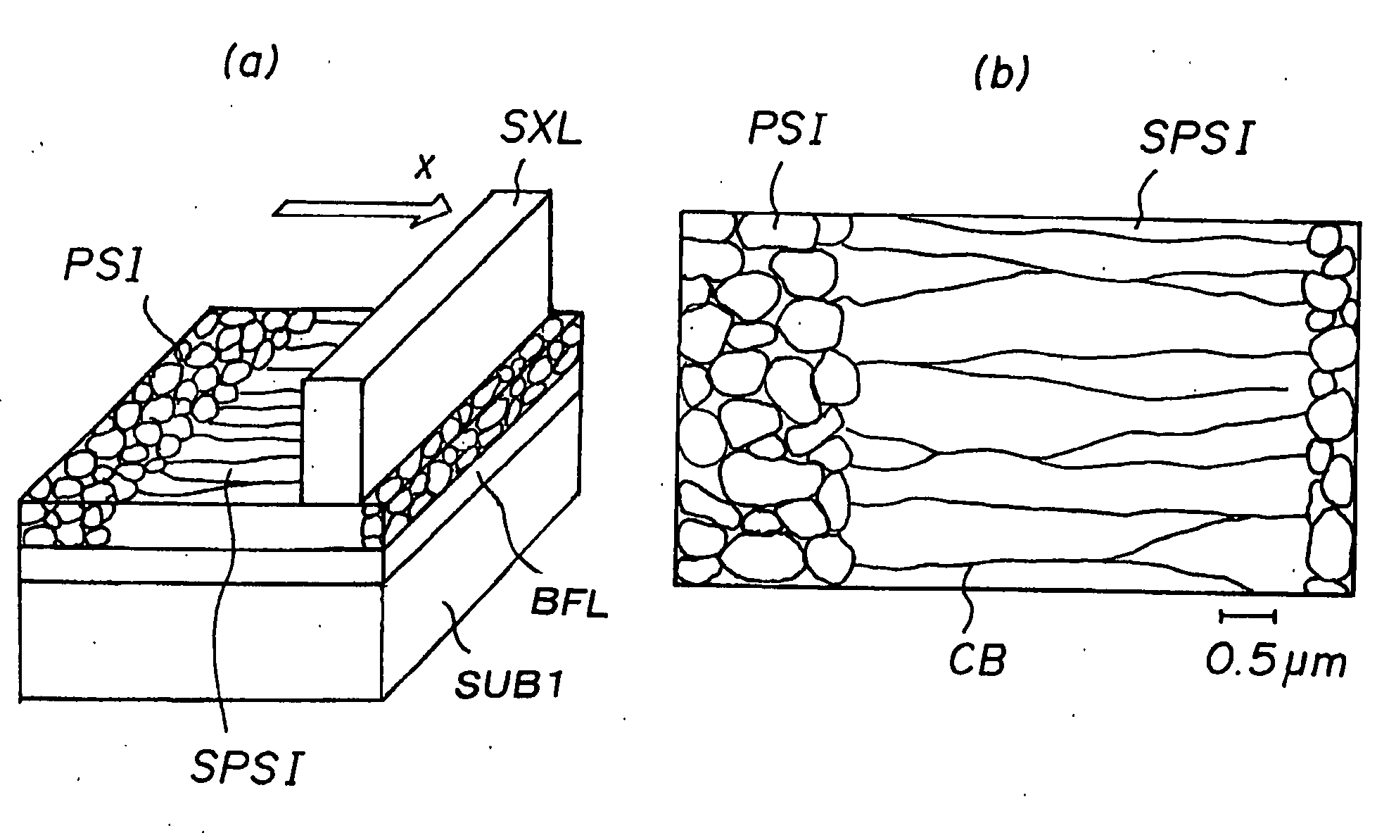 Display Device