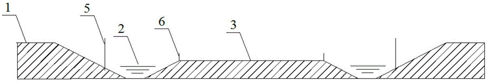 Method for planting rice in Procambarus clarkii culture pond